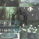 Your friendly neighbourhood Slytherin