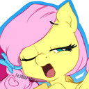 Filly Fluttershy Answers