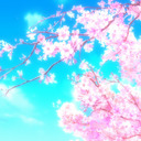 blog logo of Cherry Blossoms in Spring