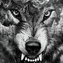 blog logo of Dire wolf's Lair