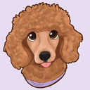 blog logo of Chicken Poodle Soup