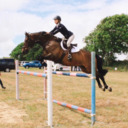 Hayley Gregory Showjumper