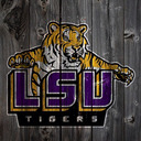 blog logo of Lsu Daily