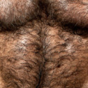 Hairy Daddy/Bears