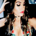 blog logo of nikki bella daily