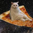 cat on a pizza