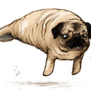 blog logo of Pugbread