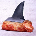 blog logo of Shark Chunks