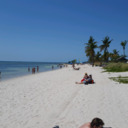 Brooklyn Girl Living In Key West, Fla.