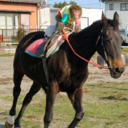 CAVALO DO MACACO