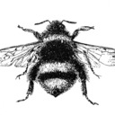 blog logo of the peony and the bee