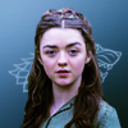 Arya Stark Daily