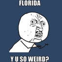 blog logo of WTF Florida?