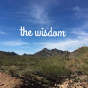 blog logo of The Wisdom