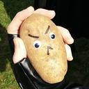 EXCEPTIONAL POTATO