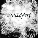 blog logo of WildArt Studio