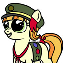 ASK A FILLY SCOUT