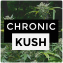 The Chronic Kush