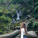 rainforest on the roof