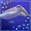 blog logo of Octopodes are my precious babies.