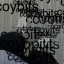 blog logo of coybits