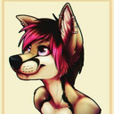 blog logo of cjhusky123