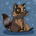 Raccoon ramblings