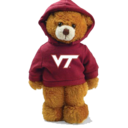 Hokie Cub