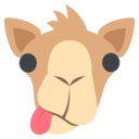 pimpmyycamel