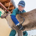 An Alaskan Vet Student