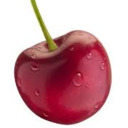 xXSweet CherryXx