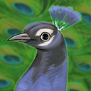 blog logo of Peacock At Your Door