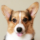 blog logo of BUCKBEAK: A Singapore Corgi Story