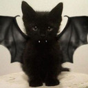 The Vampire Kitty Already Knows... Probably...