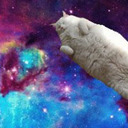 SPACE CATS