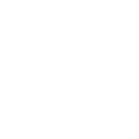 TheNewOne