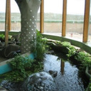 earthshipdecor