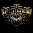 Harley Davidson Motorcycles