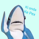 blog logo of Local Smol Shark