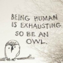 Being Human Is Exhausting So Be An Owl