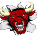 blog logo of Mr. Bull