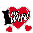 blog logo of domywife99