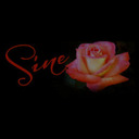 sinerose