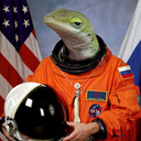 One Small Step For Lizardkind