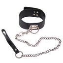 collar and leash