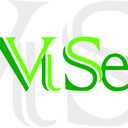 VISE declares itself an artistic collective. VISE desires to rev