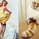 blog logo of Cats That Look Like Pin Up Girls