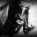 blog logo of Confessions of a Retired Eventer