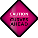 blog logo of Curves ahead... check your brakes!!!