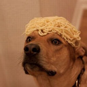 sad spaghetti